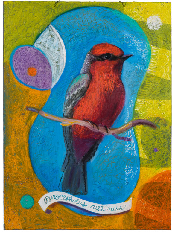 vermillion-flycatcher